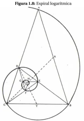 Figura 1.8: Espiral logarítmica