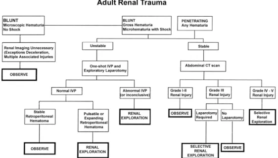 Figure 1 - Algorithm for treating patients with renal trauma. (Reprinted with permission from: Meng MV, Brandes SB, McAninch JW.