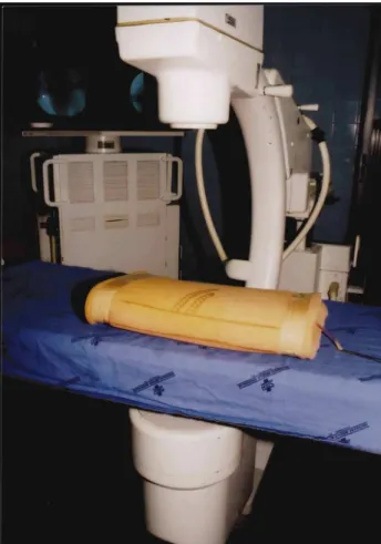 Figure 2 - With the kidney fixed, the foam is folded over it, and then, closed with scotch tape.