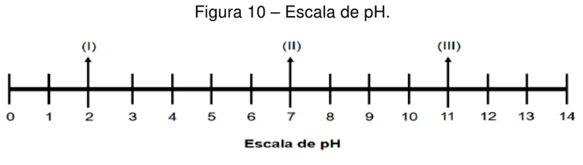 Figura 10 – Escala de pH.