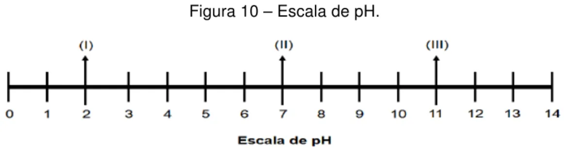 Figura 10 – Escala de pH.
