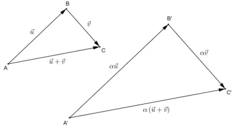 Figura 26: A distributividade da multiplicação por escalar em relação à adição vetorial 