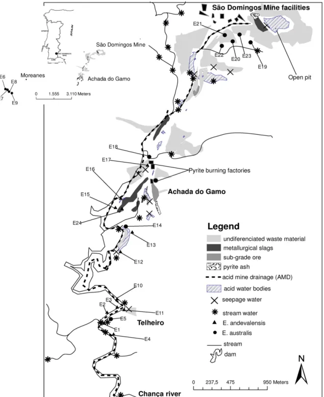 Fig. 1. Map of the São Domingos mining area with location of sample sites (soil, plant and water).