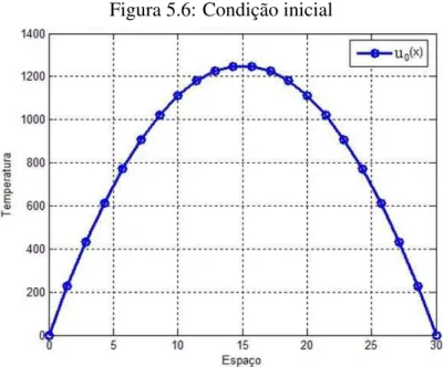 Figura 5.6: Condição inicial
