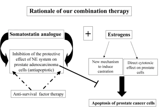 Figure 4 – Antisurvival combination therapy for advanced prostate cancer.