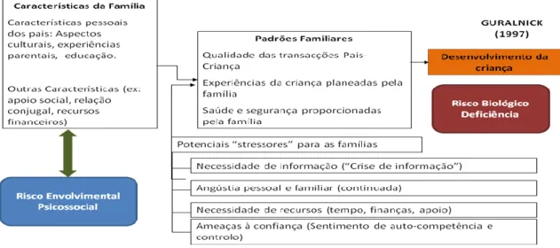 Figura n.º 4 – Características da Família e padrões familiares (Guralnick, 1997) 