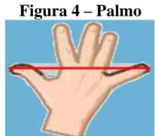 Figura 4  – Palmo 