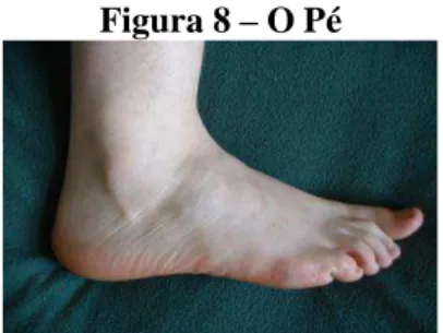 Figura 8  – O Pé 