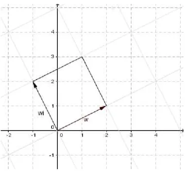 Figura 5.1: Vetores ortogonais w e wi
