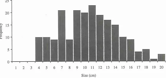 Fig.  1. Size distribution of  Telmatactis cricoides  (n  =  205  anemones at least  3  cm in diameter)
