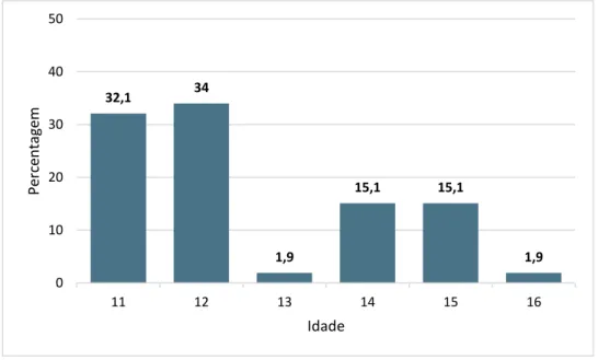 Tabela 5: Distribuição de frequências da amostra, em relação ao nível de escolaridade 