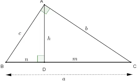 Figura 6: Elementos de um triângulo retângulo envolvidos nas relações métricas.