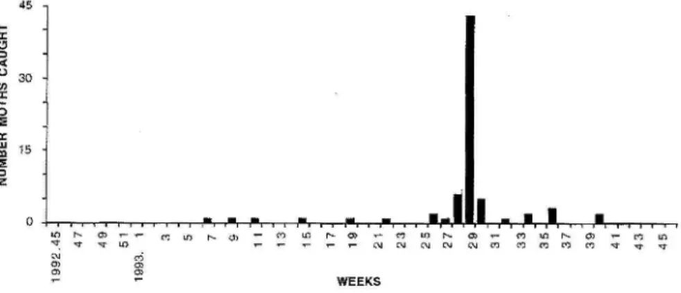 Fig.  10  - Number of A.  gamma  adults  captured  weekly at  Santa Bárbara,  in  Terceira island,  from  November 1992 to November  1993 (53  weeks)