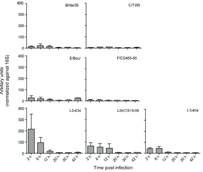Figure 3.7 mRNA levels of ct105 in different C. trachomatis strains.  The mRNA levels of ct105 were  analyzed  by  real-time  quantitative  PCR  (RT-qPCR)  during  the  developmental  cycle  of  C