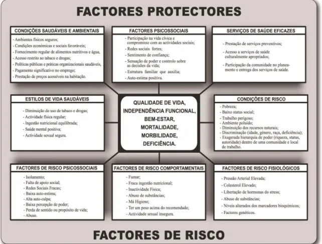 Fig. 3 Factores que afectam a saúde, adaptado de Labonte (1998) 