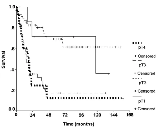 Figure 3 – Disease specific survival by N stage.