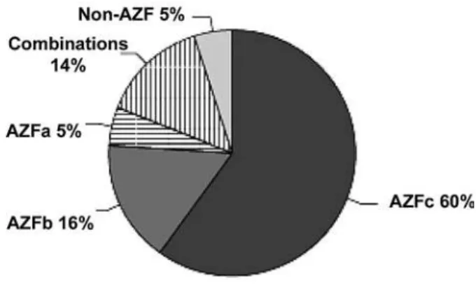 Figure 3 –  The relative frequency of specific AZF deletions in men (n = 5000) with Yq microdeletions.
