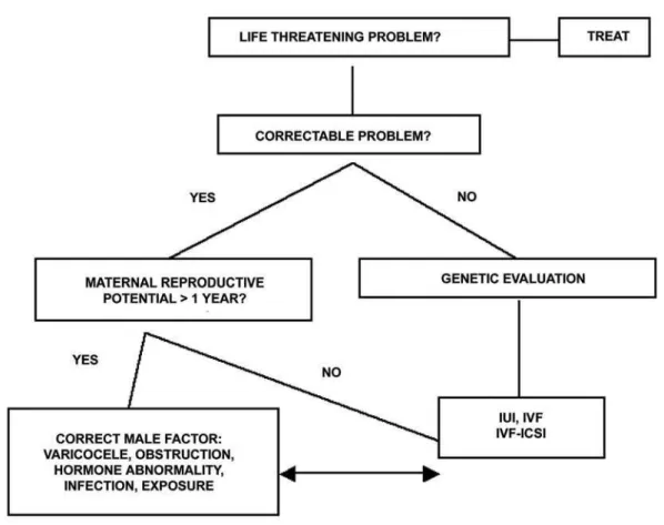 Figure 2 –  Algorithm for treatment of male infertility. Adapted with permission from Turek PJ: Practical approach to the diagnosis and management of male infertility