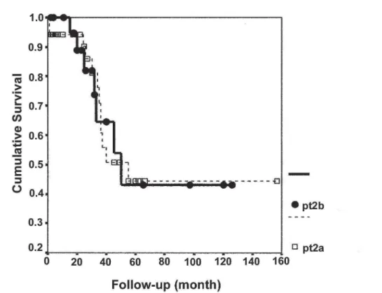 Figure 1 – Kaplan-Meier curve demonstrating cumulative survival in patients with pT2a and pT2b bladder cancer.
