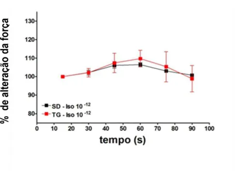 Figura 14. Efeito da administração in bolus de isoproterenol (Iso; 10 -12 M) sobre a tensão sistólica em  corações  isolados  de  ratos  SD    e  de  ratos  TGR(A1-7)3292  