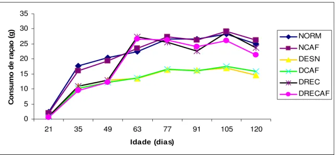Figura 1  – Consumo diário médio de ração por grupos de ratos controles e experimentais