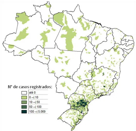 Figura  3:  Distribuição  geográfica  dos  casos  de  loxoscelismo  Brasil  no  ano  de  2006
