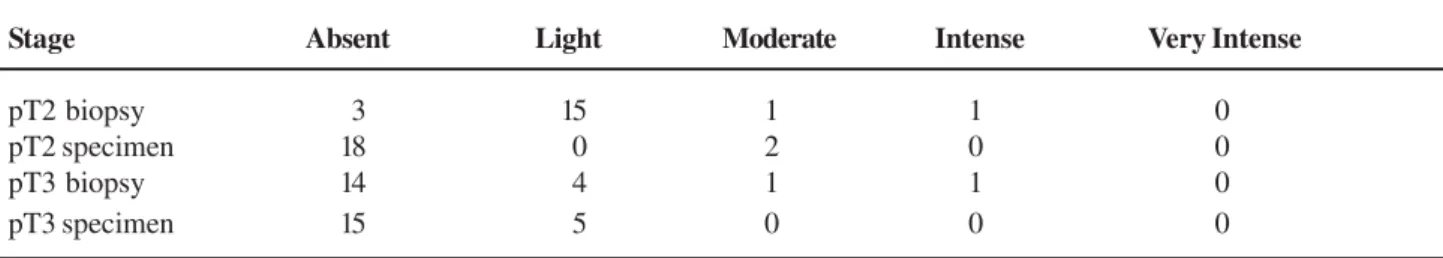 Table 7 – Number of patients grouped in the different categories, based on the synaptofisin expression in both stages (pT2 and pT3).