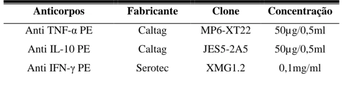 Tabela 2- Anticorpos monoclonais utilizados para identificação de citocinas intracelulares em  populações leucocitárias