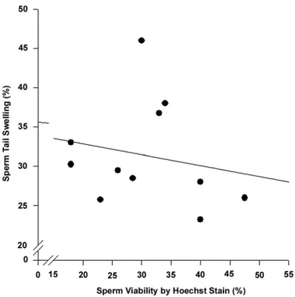 Figure 6  – Correlation of post-thaw viability results between corrected sperm tail swelling (corrected HOST) and Hoechst 33258 stain.