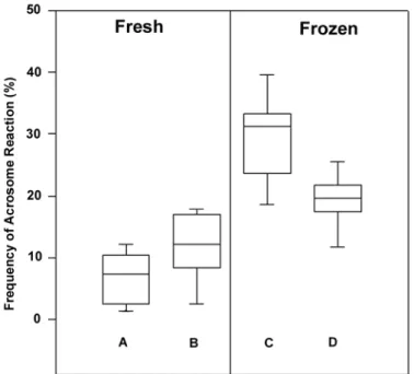 Figure 8 – Evaluation of the frequency of acrosome reaction in live human spermatozoa from 11 samples of fertile donors, determined by (A) FITC-PNA and HOST, and (B) FITC-PNA and Hoechst 33258, in fresh and post-thaw specimens