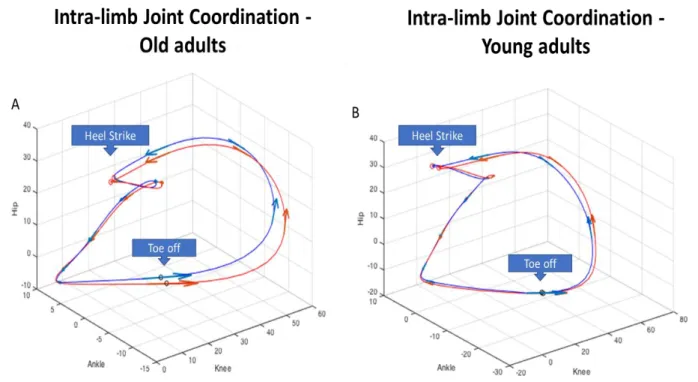 Figure 3: Illustration of Hip angle - Ankle angle - Knee angle intra-limb coordination patterns for  the Old  adults  (A)  and the Young  adults (B)