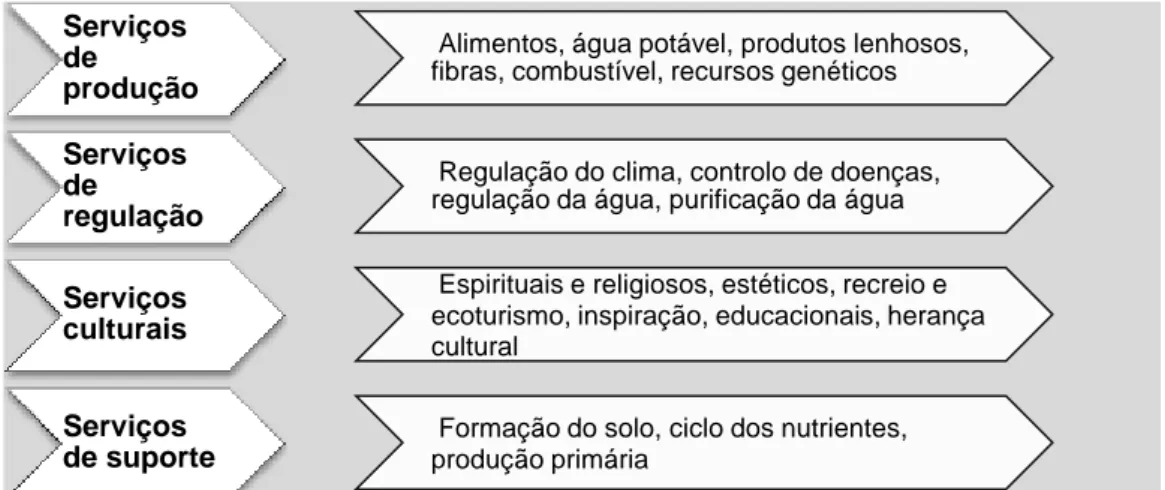 Figura 1: Os serviços dos ecossistemas segundo o “Millennium Ecosystem Assessment” (MEA) (adaptado de  Pereira et al., 2009).