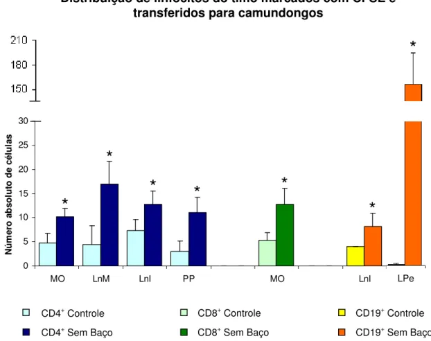 Figura 11: Número absoluto de linfócitos TCD4, TCD8 e B do timo marcados com  CFSE  e  transferidos  para  animais  dos  grupos  controle  e  esplenectomizado.