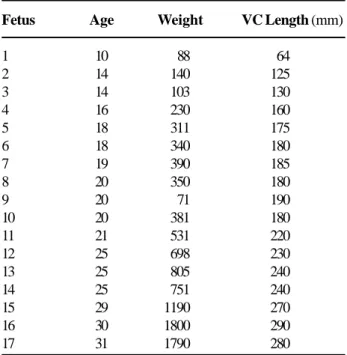 Table 1 – The table presents fetuses’ ages in weeks post conception, the weights in grams and the vertex-coccyx length (VC) in millimeters