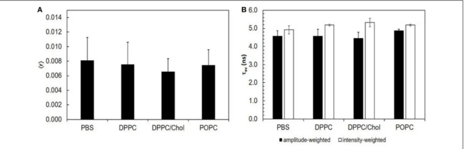 FIGURE 1 | STS does not interact with lipid bilayers: the intrinsic fluorescence properties of STS are similar in PBS and in the presence of different lipid phases.