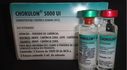 Figura 3.  Gonadotrofina Coriônica Humana utilizada no experimento. 