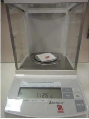 Figura 6.  Balança de precisão para pesagem dos testículos.