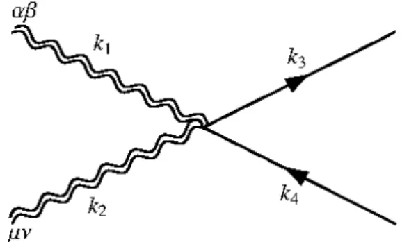 Figura 5.3: Intera¸c˜ao gr´aviton-g´raviton-f´ermion-f´ermion.