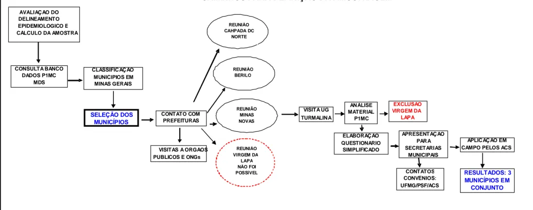 FIGURA 2.1 – Fluxograma das etapas percorridas para definição da amostragem.                                                                                           CAMINHOS PARA DEFINIÇÃO DA AMOSTRAGEM