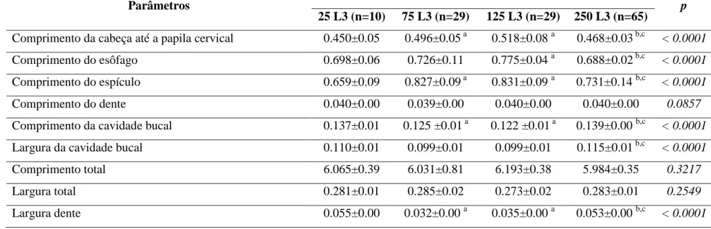 Tabela 2 - Morfometria de machos adultos de Ancylostoma ceylanicum (média ± desvio padrão)  