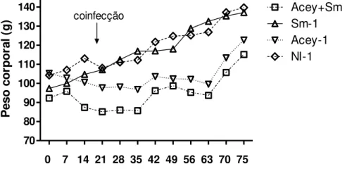GRÁFICO 7- Peso médio dos grupos ao longo do experimento.  Não infectado (NI- (NI-1), Infectado com 50 L3 de A