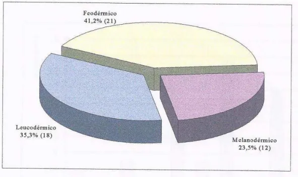 Figura 2 – Distribuição de porcentagem e frequência dos recém-nascidos em relação à etnia