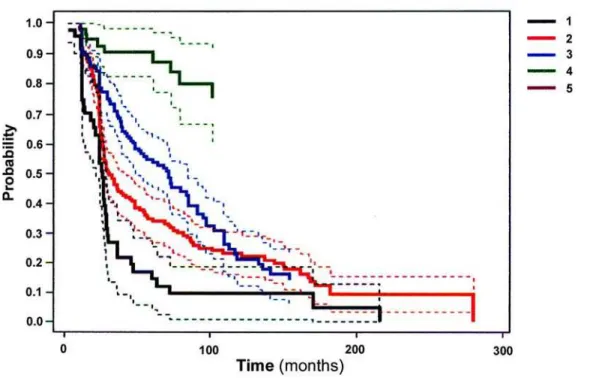 Figure 3 –  Kaplan-Meier survival curves with 95% of confidence interval showing the probability of vesicoureteral reflux resolution, in months, according to grade.