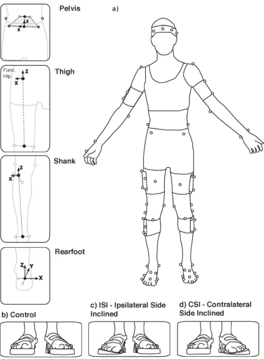 Fig. 1: Marker placement and segments coordinate systems (a); control (b), ipsilateral side inclined (c) 