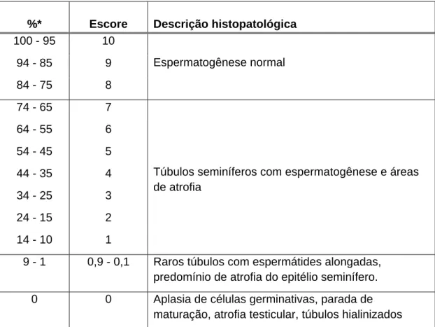Tabela 2. Classificação histopatológica da espermatogênese segundo Bergmann e  Kleisch (2011)