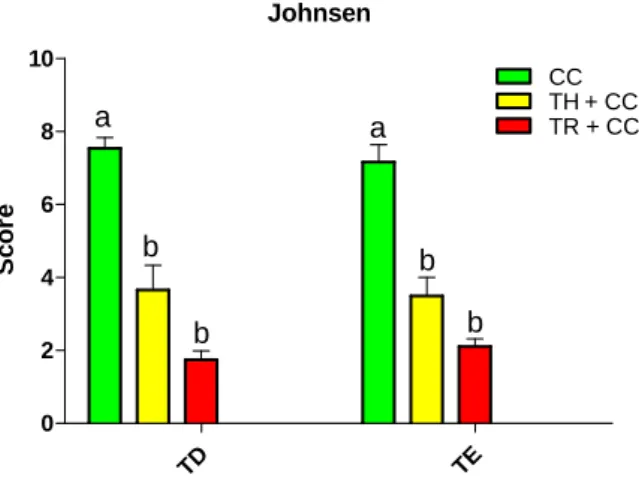 Figura 3 – Escore histológico testicular, segundo Johnsen, de homens idosos submetidos a diferentes  tratamentos contra o câncer de próstata
