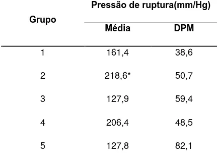 Tabela 3 – Valores da média e desvio padrão da média (DPM) da pressão de  ruptura, dos grupos de coelhos