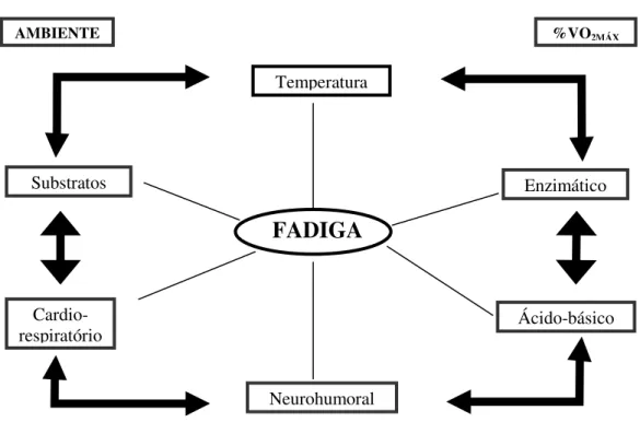 FIGURA 1 – Modelo dos limites integrados envolvidos na fadiga  Fonte: Rodrigues e Silami-Garcia, 1998