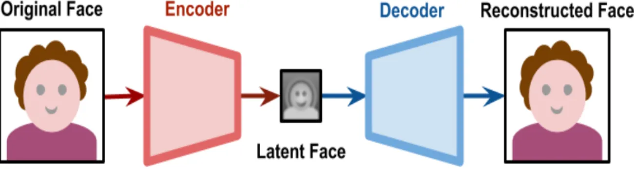 Figure 3.1: Representation of the phases of the autoencoder[35]