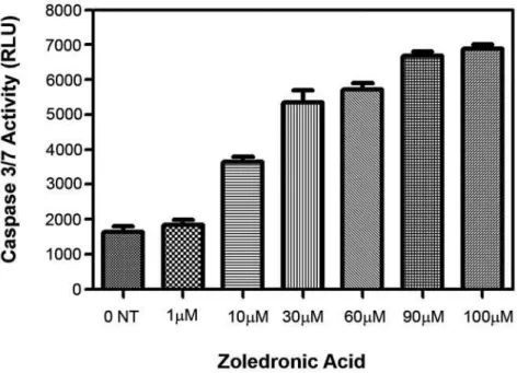 Figure 2 – Concentration dependent caspase 3/7 activity in PC-3 cell line following exposure to zoledronic acid